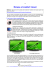 Écrans et confort visuel - Formations Georges Mattias