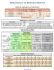 Tableau imprimable de la nomenclature en médecine générale