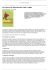 Export PDF - Mus&eacute;e de la Corse
