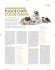 quE dE chiEns - PetMarket Magazine