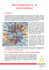 Essai d`aptitude pré- et post-analytique