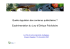 Expérimentation du Jury d`Ethique Publicitaire
