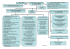 Télécharger Organigramme_du_SGG_