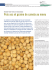 Pois sec et graine de canola au menu