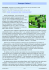 Pourquoi l`islam - The Religion of Islam