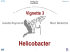 Helicobacter