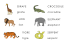 GIRAFE girafe CROCODILE crocodile LION lion ELEPHANT