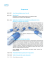 Programme - Plateforme GALA