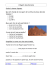 L`Egypte des pharaons