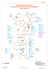 Consulter la carte des formations des lycées à la