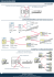 organigramme - Beaurain Distribution