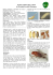 FICHE D`IDENTIFICATION de Drosophila