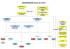 ORGANIGRAMME Saison 2014 2015