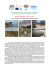 " Les ressources en eau dans la plaine de Kairouan