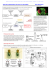 Etude de la pigmentation des yeux de la Drosophile Fiche laboratoire