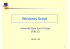 Windows Script