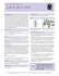 Datasheet Blank Template