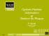 Options Réelles Valorisation et Gestion du Risque