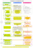 Le processus DT-DICT synthétique