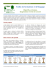 Taille de formation_élagage