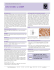 Datasheet Blank Template