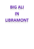 Dossier Sponsoring Big Ali in Libramont - Connecting
