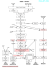 Diagramme fabrication biere whisky