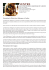Document pédagogique à télécharger