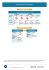 Label elements of the CLP regulation