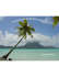 bora-bora 2.rtfd - laurent plongeur.com