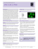 Datasheet Blank Template