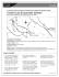 Ski Circuits French