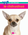 le chihuahua