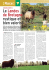 Article sur les Landes de Bretagne (cliquez ici)