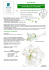 PLAN DE GESTION DIFFERENCIEE DES ESPACES VERTS