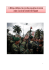 Ethique militaire