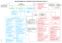 ORGANIGRAMME DE L`UNIVERSITÉ PARIS