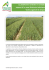 La plateforme variétale en céréales support d`un essai itinéraire
