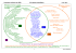 Population avifaune du GDB (70 espèces identifiées)