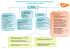 Organigramme du Service Commun de la Documentation de l