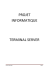 projet informatique terminal server
