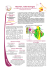 4 Pages RessTerr
