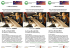flyer chanter avec l`Europe 2016