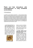 &eacute;tude des relations entre bact&eacute;ries et plantes ou microphytobenthos
