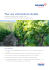 Pour une viti-viniculture durable