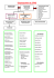 Organigramme du CPAS (02