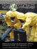 Débat sur la Culture de Sécurité de CBRN au