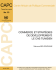 COMMERCE ET STRAT&Eacute;GIES DE D&Eacute;VELOPPEMENT: LE CAS
