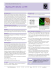 Datasheet Blank Template