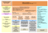 Organigramme 2016/2017